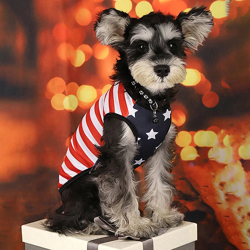American Flag Patriotic Dog Bandana Scarf Set with Bow Tie