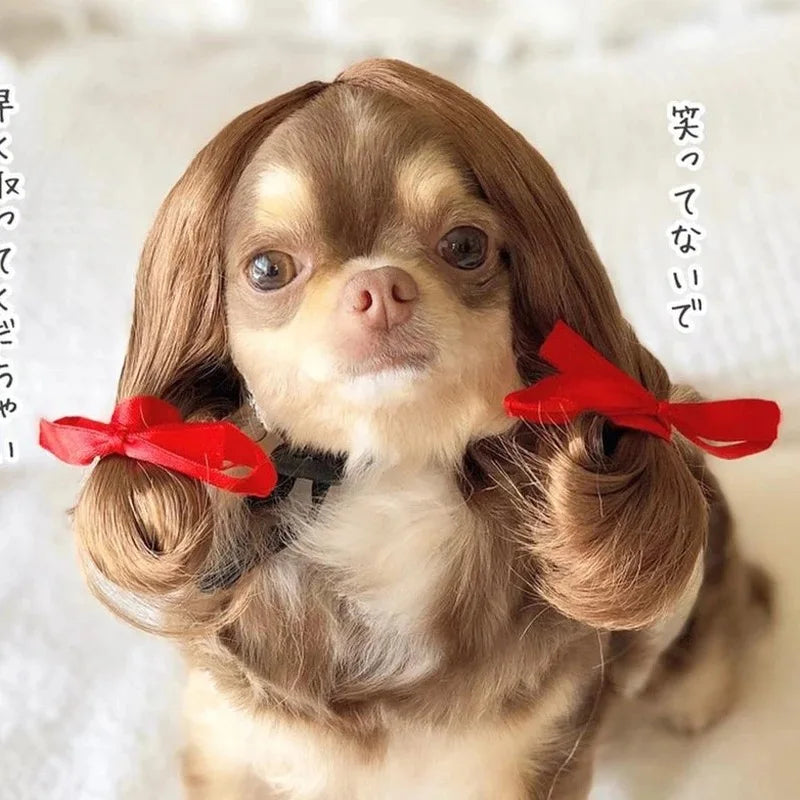 NONOR Pet Wigs Cosplay Props Funny Dogs Cats