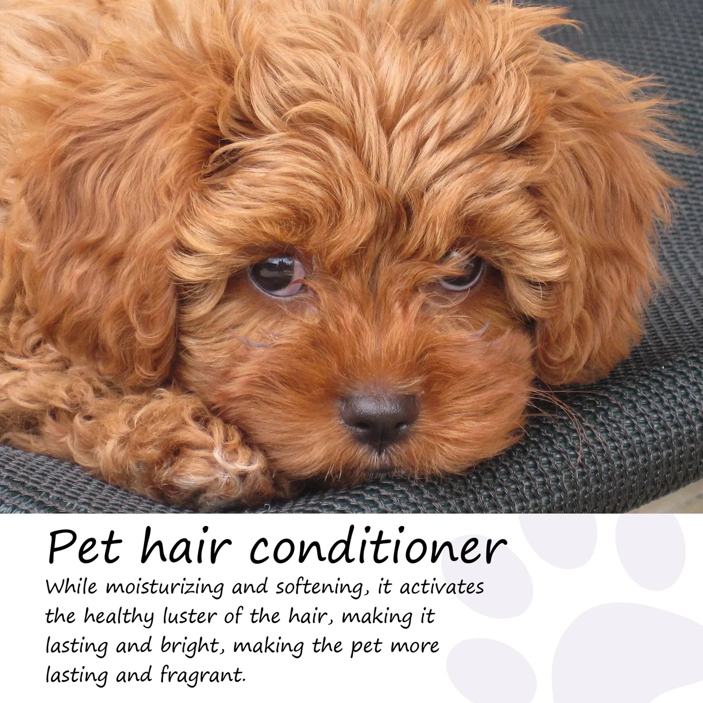 50ml Non-Knotted Pet Hair Care Cream Moisturizes Pet Hair Conditioner