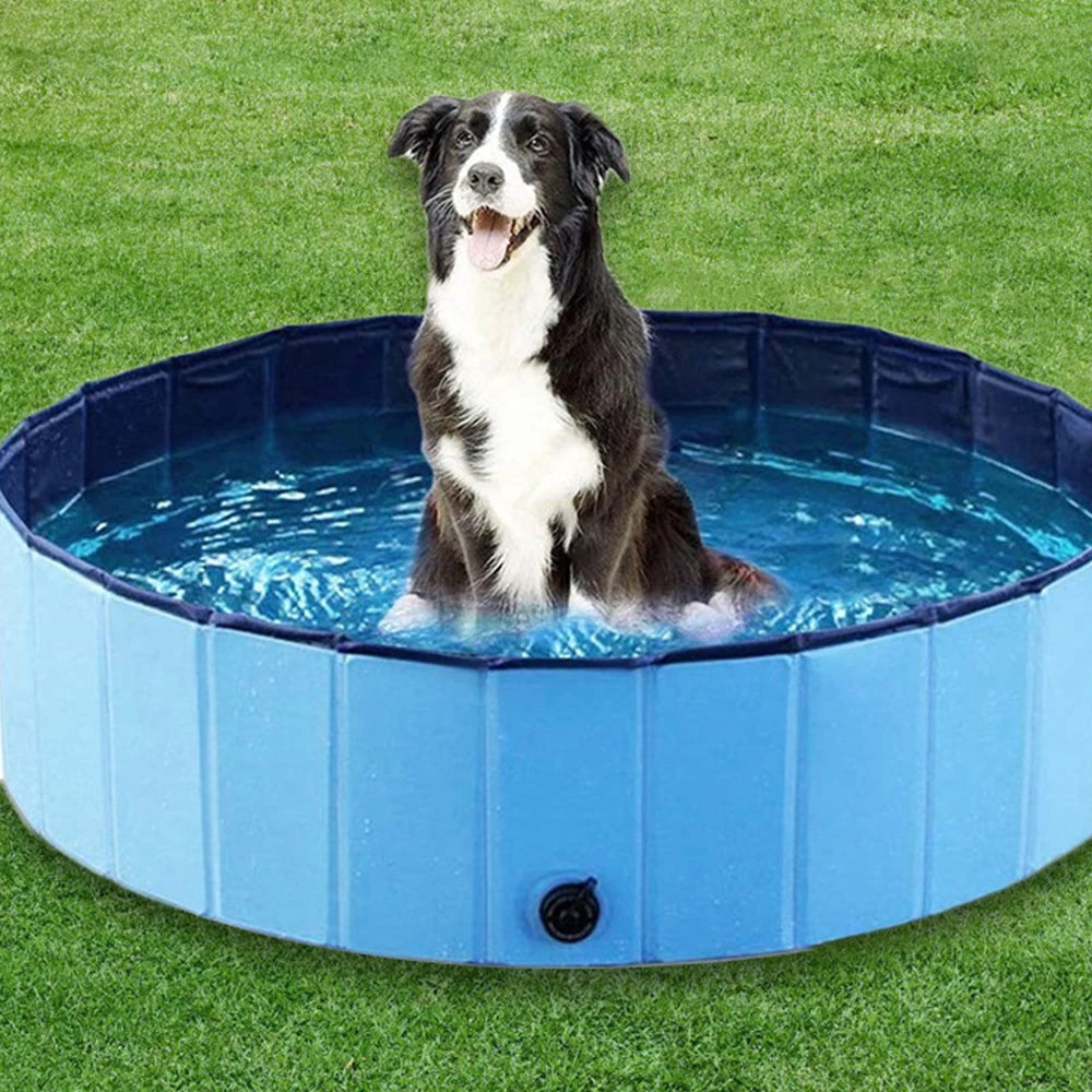 Dog Swimming Pool & Pool Cover Portable Plastic Pool