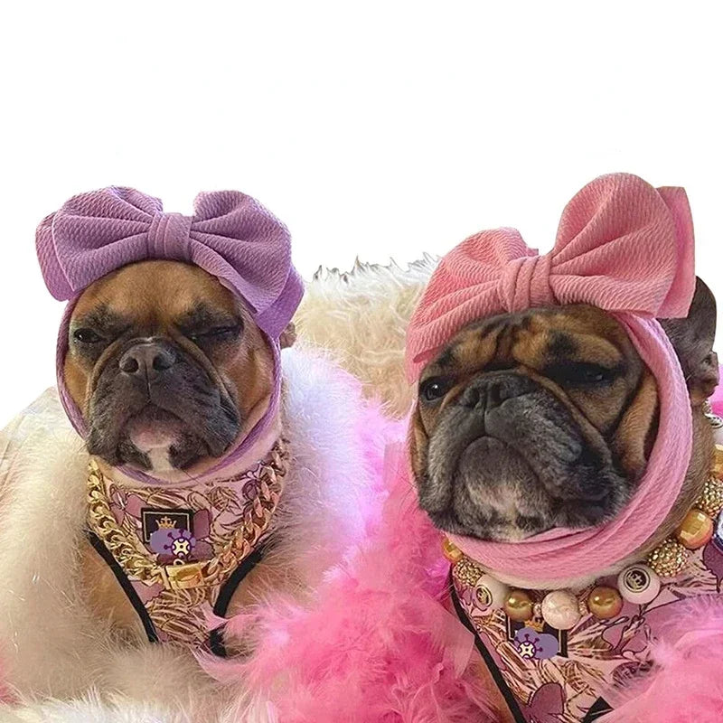 Pet Headgear Teddy up bow Hat