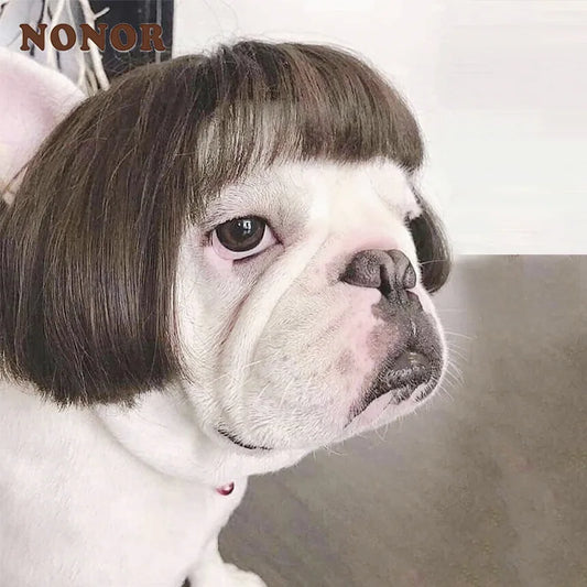 NONOR Pet Wigs Cosplay Props Funny Dogs Cats