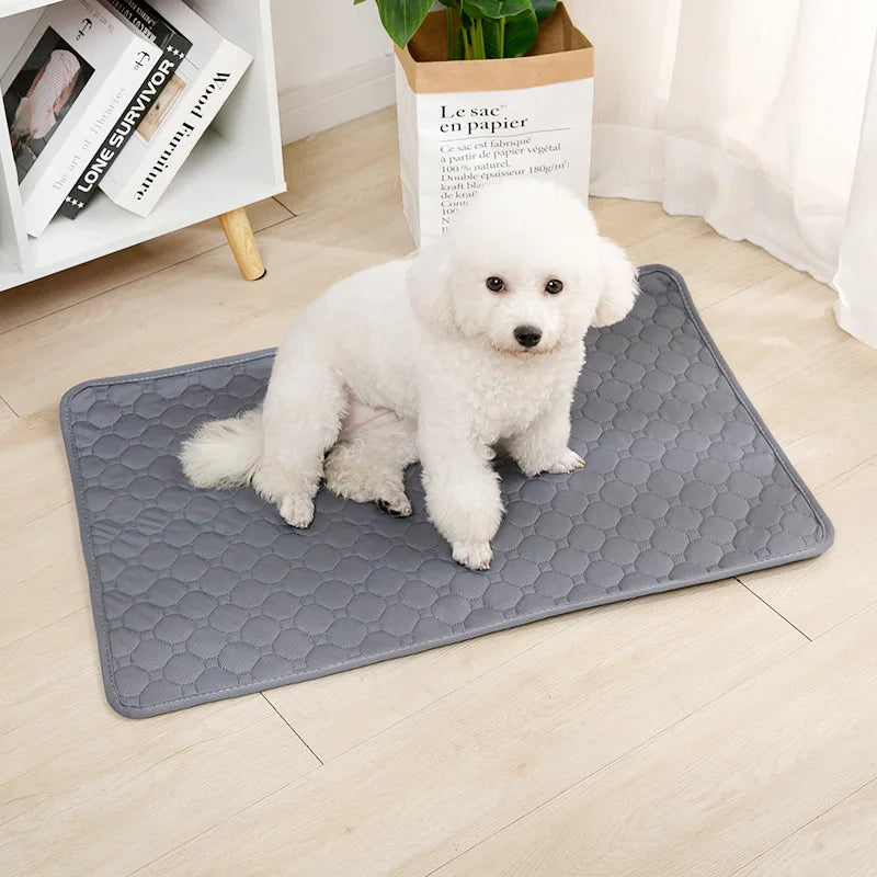 Reusable Dog Pee Pad Blanket Absorbent Diaper Washable