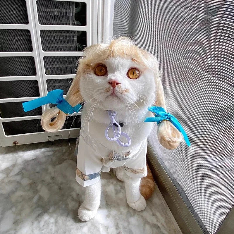 NONOR Pet Wigs Cosplay Props Funny Dogs Cats