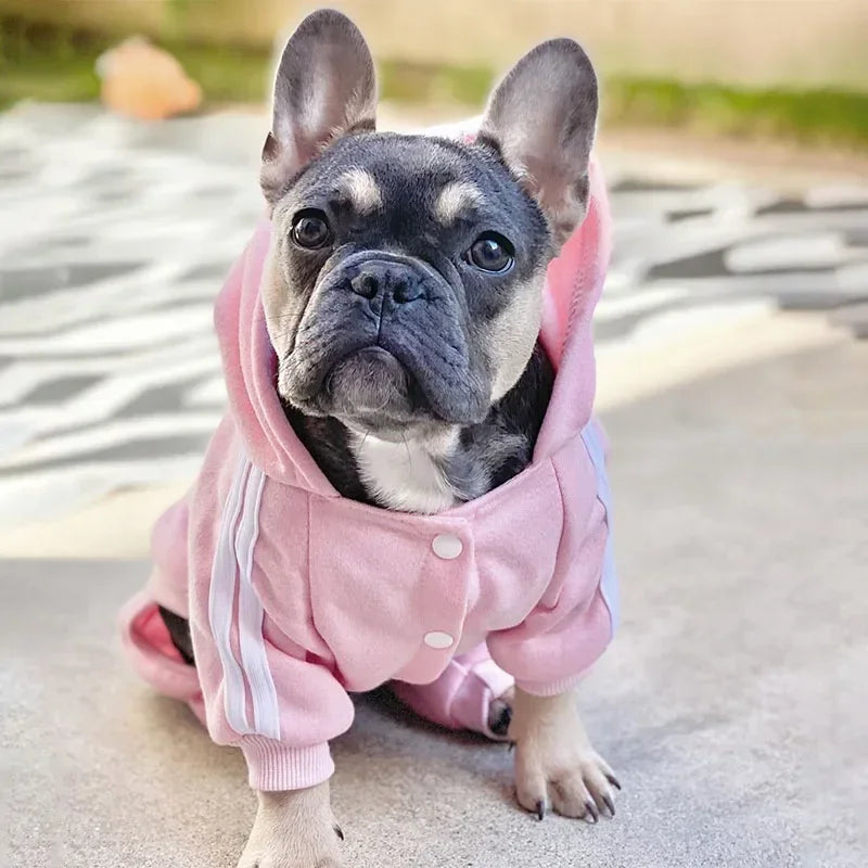 Pet Clothes French Bulldog Puppy Dog Costume Pet Jumpsuit