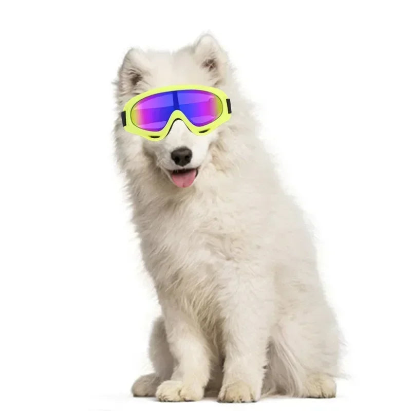 Pet Products Big Dog Goggles Wind And Snow Protection