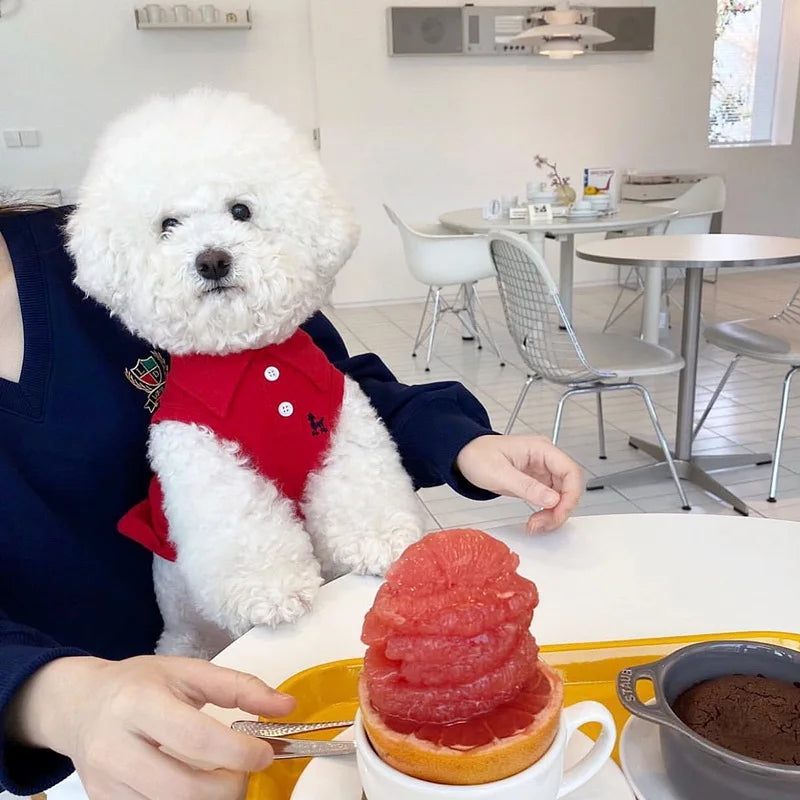 New Pet Dog Polo Shirt Dog Cool Clothes Soft Breathable