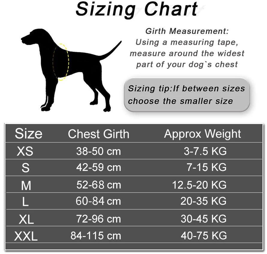 Personalized Dog Harness NO PULL Reflective Breathable