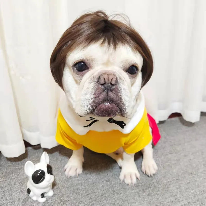 NONOR Pet Wigs Cosplay Props Funny Dogs Cats