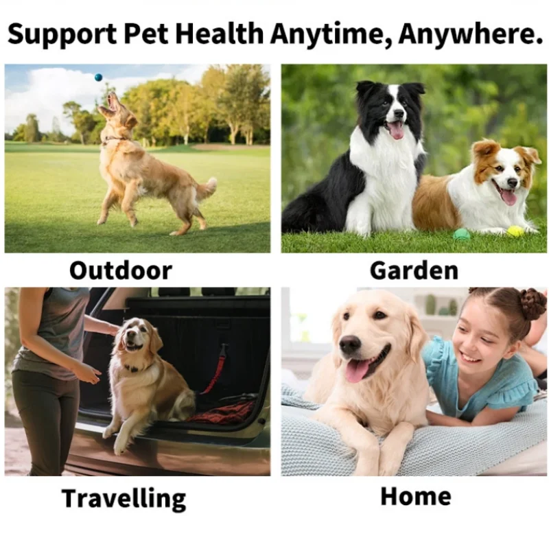 Pet Cleaning Products Eye Wipes To Remove Tear Marks