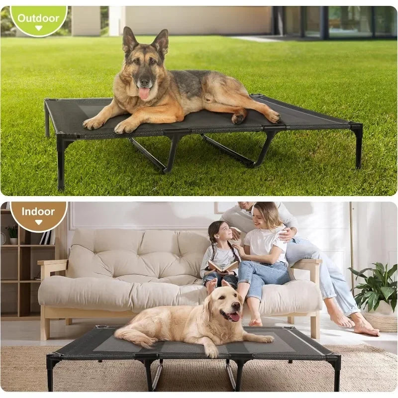 48" Elevated for Extra Large Dogs
