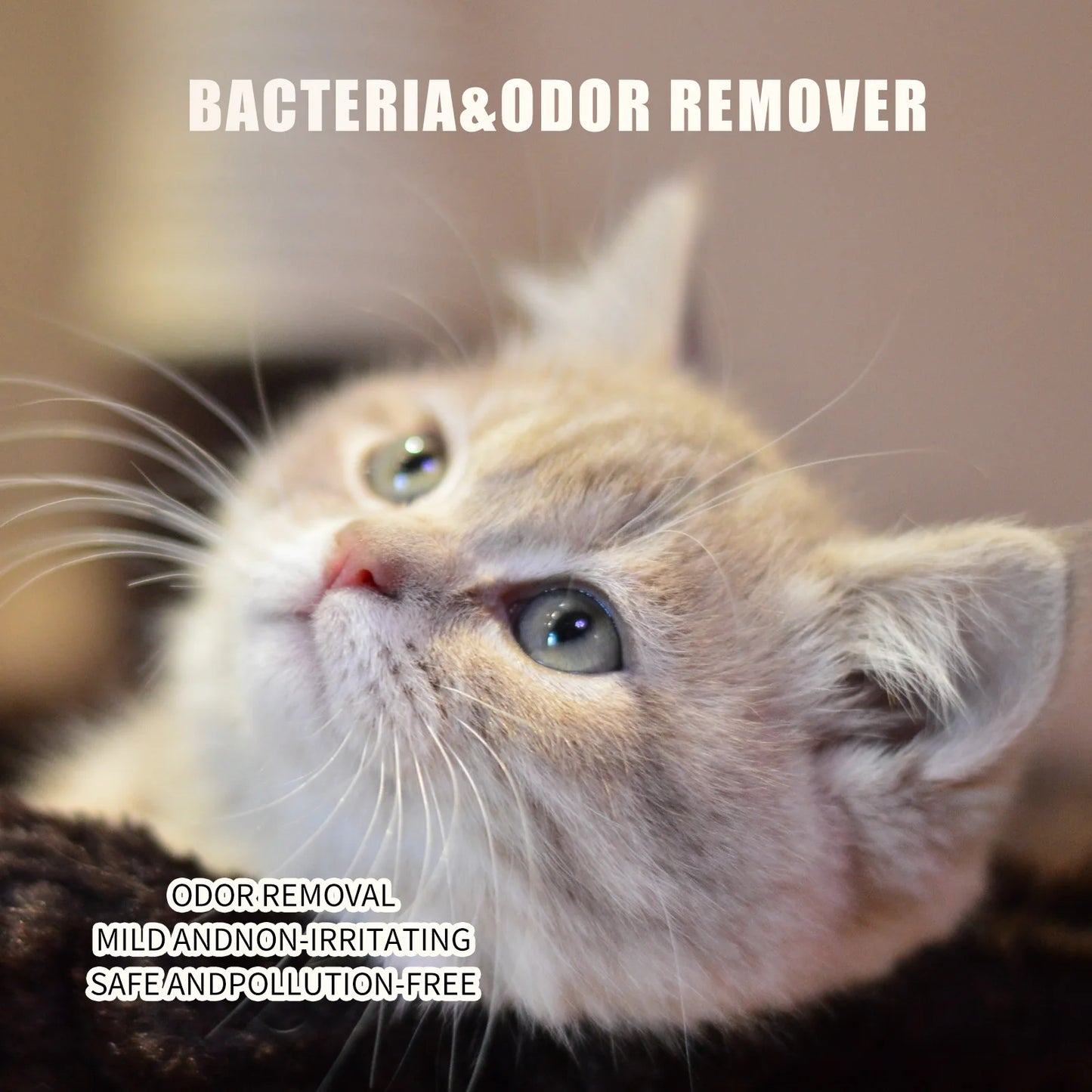 Pet deodorant 50ml household pet spray