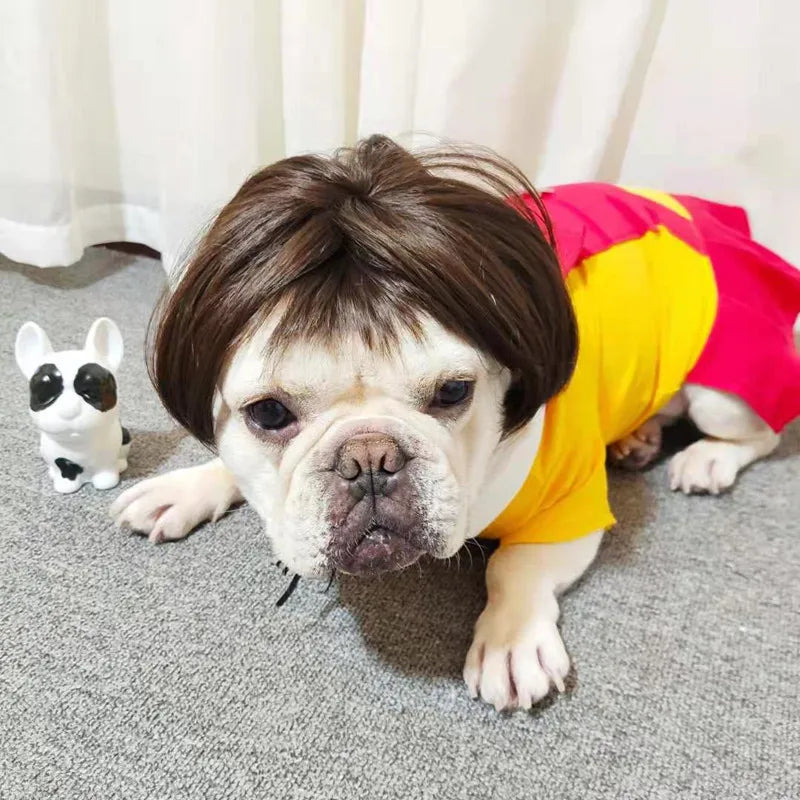 NONOR Pet Wigs Cosplay Props Funny Dogs Cats