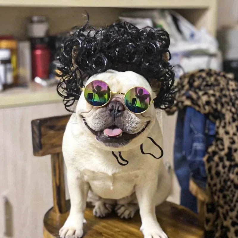 NONOR Pet Wigs Cosplay Props Funny Dogs Cats