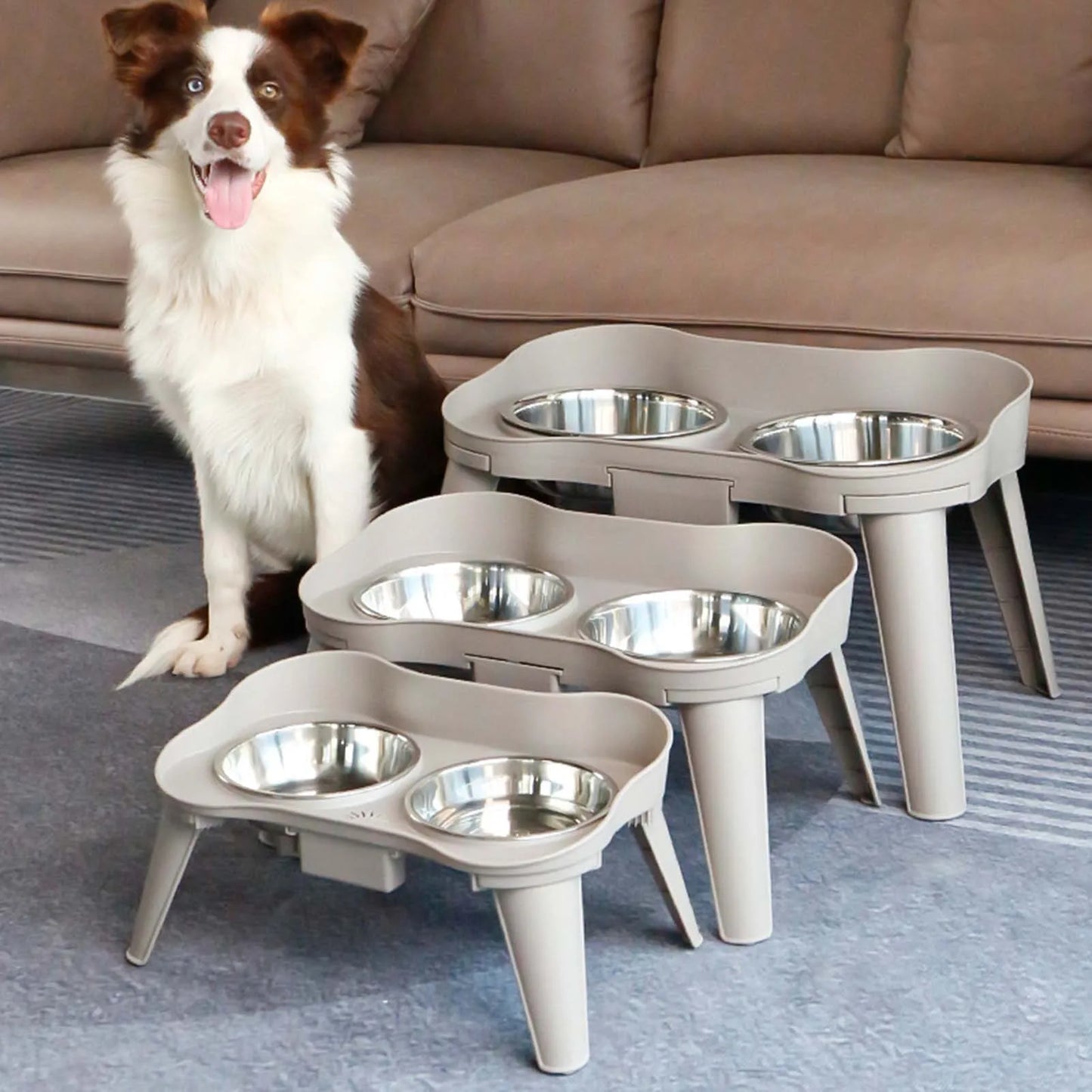 Raised Stand Elevated Dog Feeder