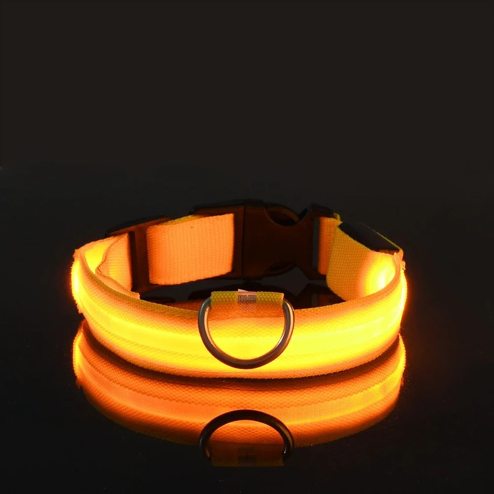 Dog Collar Nylon LED Night Safety Flashing Glow In The Dark